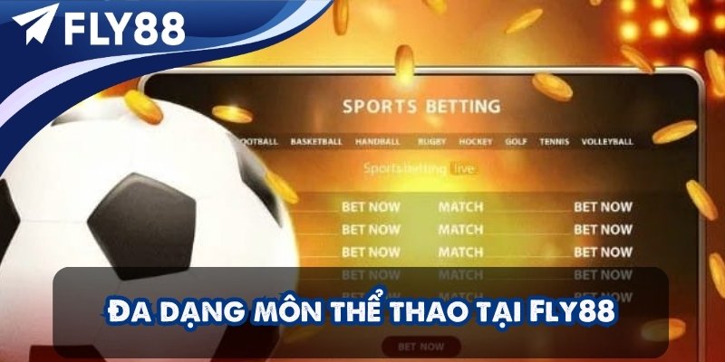 Hệ sinh thái thể thao đa dạng và chuyên nghiệp tại Fly88