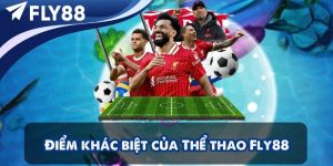 Thể thao Fly88 – Nơi cảm xúc hòa cùng từng trận đấu, nơi đam mê trở thành hành trình thật